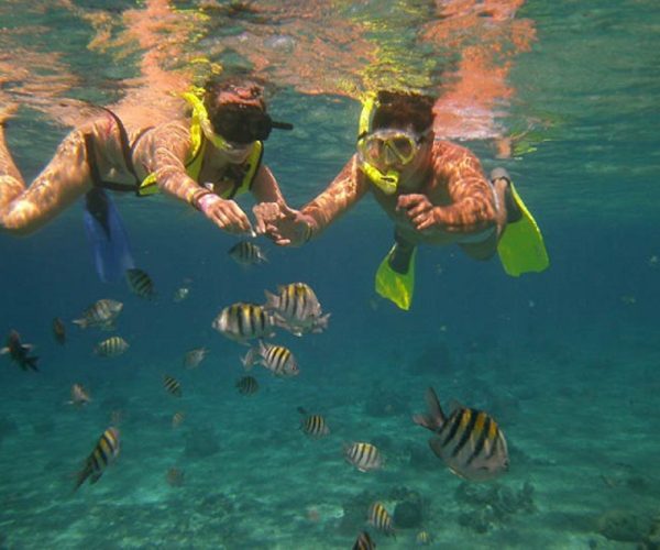 Tamarindo Snorkeling Catalinas | Native's Way Tamarindo Tours